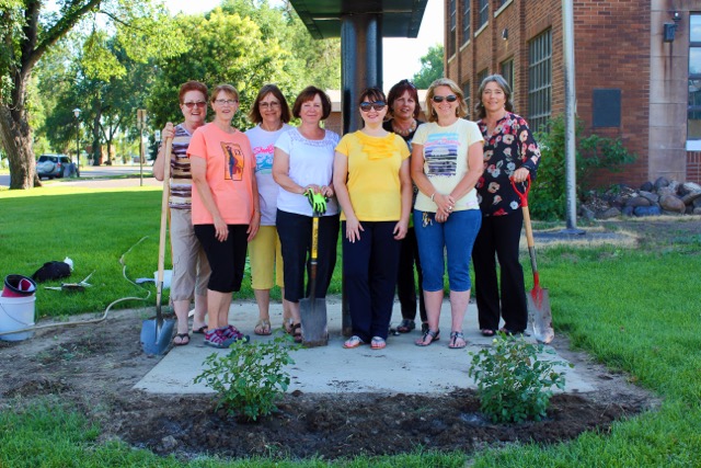 Planting yellow rose bushes in honor of Zonta International's upcoming 100th anniversary. 